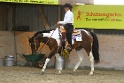 22_APHA-APHA SPB Western Pleasure